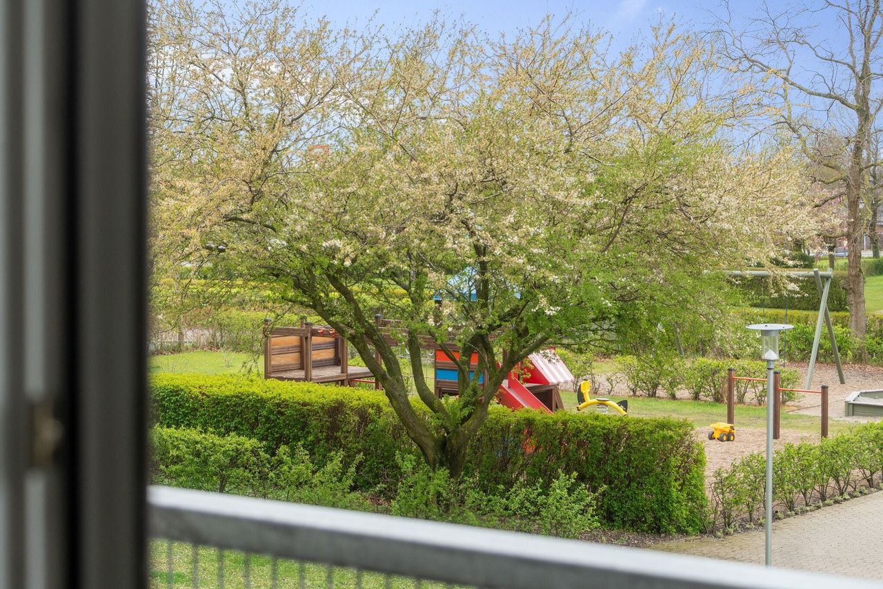 image 02